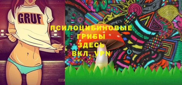 PSILOCYBIN Заволжье