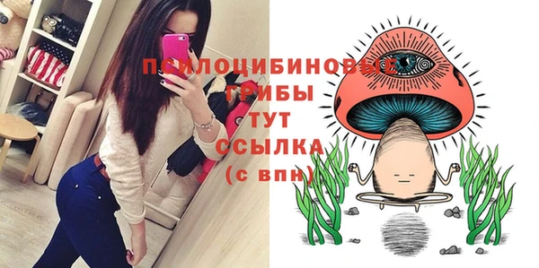 кокаин перу Заводоуковск