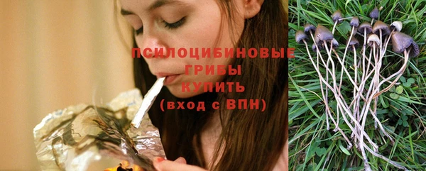 mdpv Заволжск