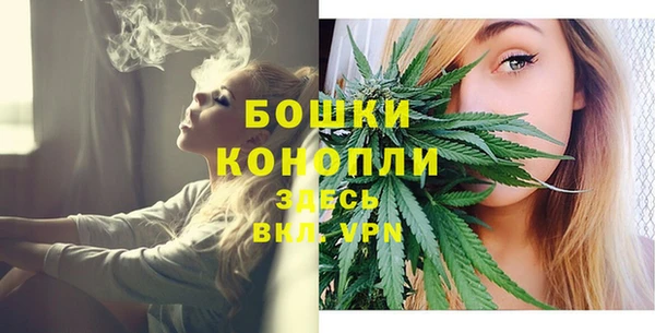 PSILOCYBIN Заволжье