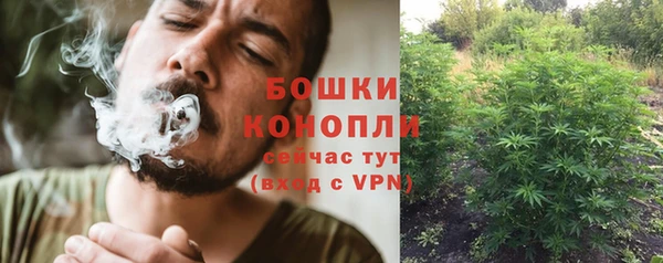 PSILOCYBIN Заволжье
