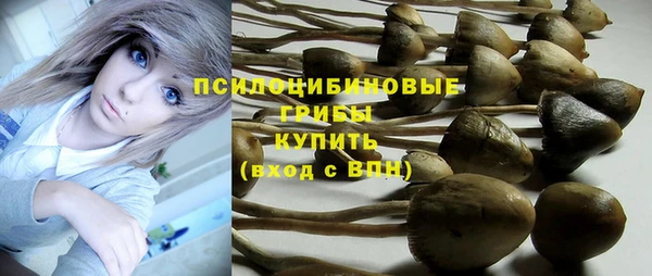 mdpv Заволжск