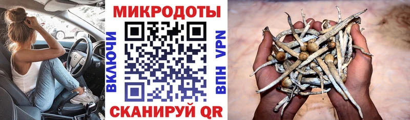 KRAKEN tor  Кимовск  Псилоцибиновые грибы Magic Shrooms  где можно купить наркотик 